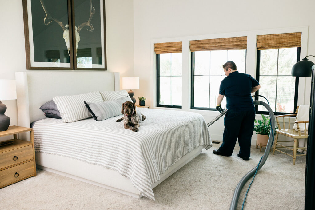 Professional carpet cleaning in bedroom with pet dog on bed – safe and effective pet-friendly carpet cleaning service.