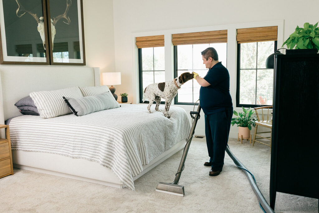 Professional carpet cleaning in bedroom with pet dog on bed – safe and effective pet-friendly carpet cleaning service.