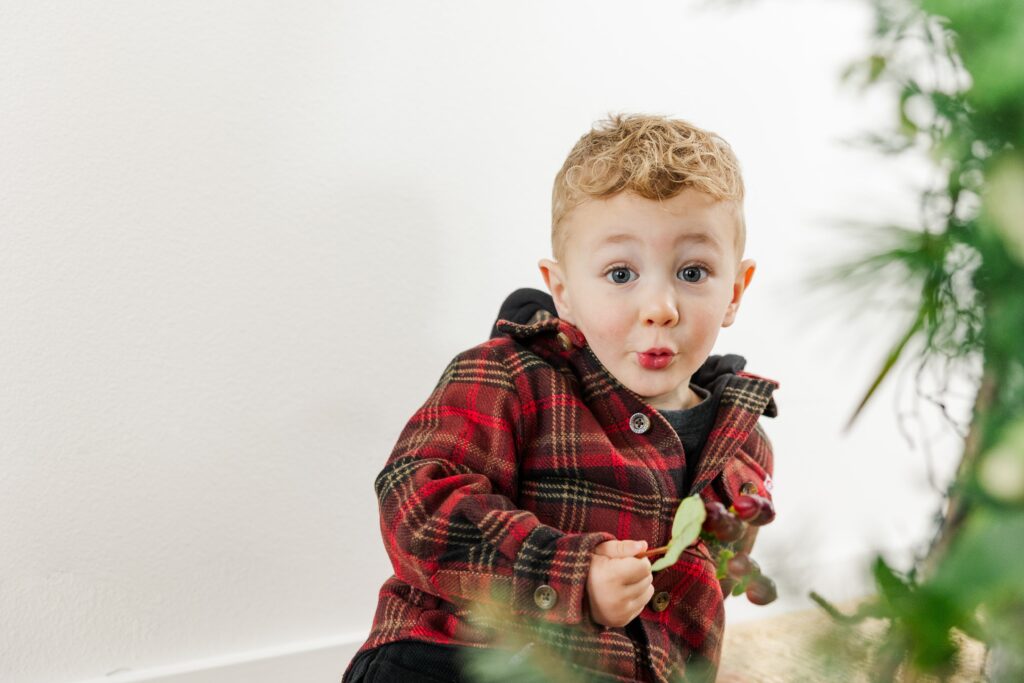Kids exploring textures in a nature-inspired holiday greenery session